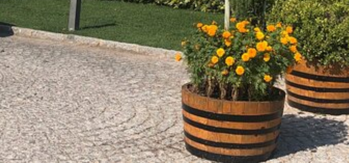 izmir-torbali-la-arkas-sarapcilik-1